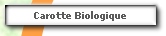 Carotte Biologique